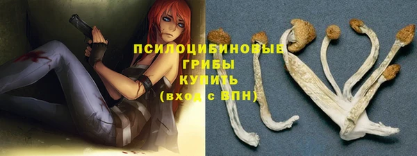 дмт Бронницы