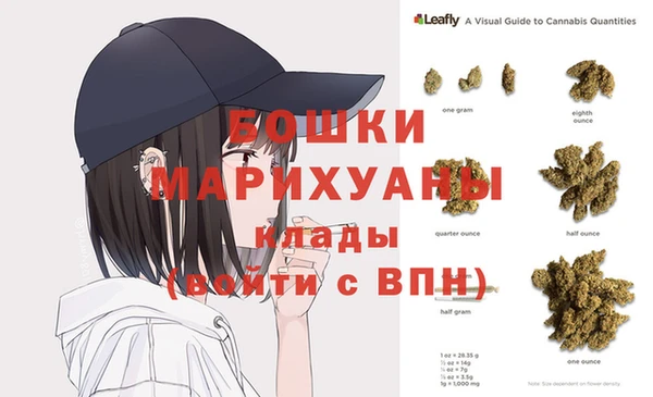 крисы Верея