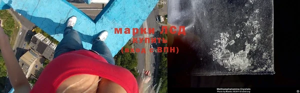 крисы Верея