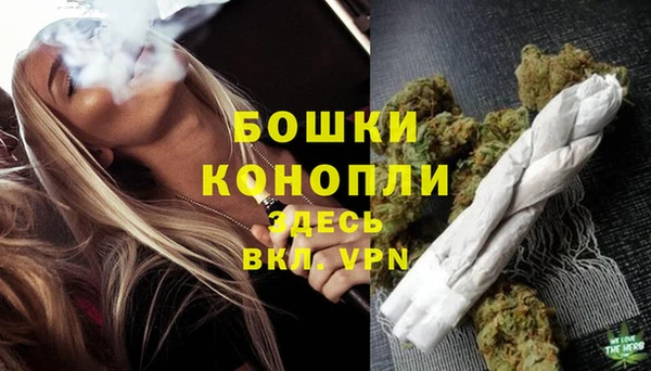 крисы Верея