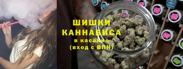 крисы Верея