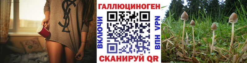 купить наркоту мориарти телеграм Псилоцибиновые грибы Psilocybine cubensis Магнитогорск